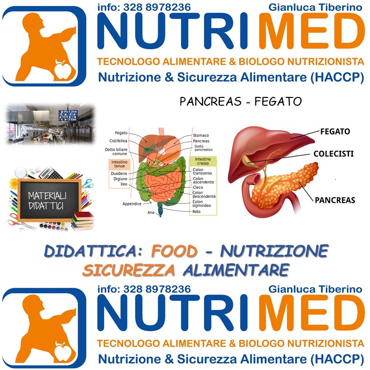 FEGATO - PANCREAS 