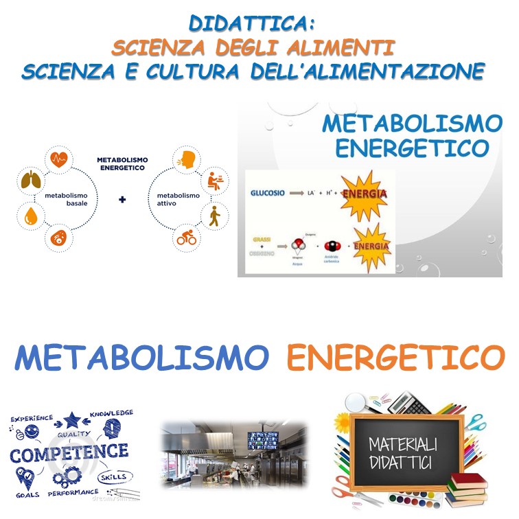 METABOLISMO ENERGETICO