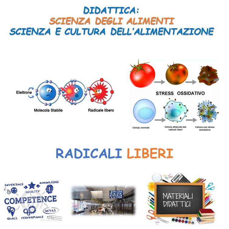 RADICALE LIBERO